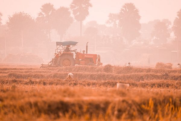 Влияние закиси азота на экологию: причины и последствия
