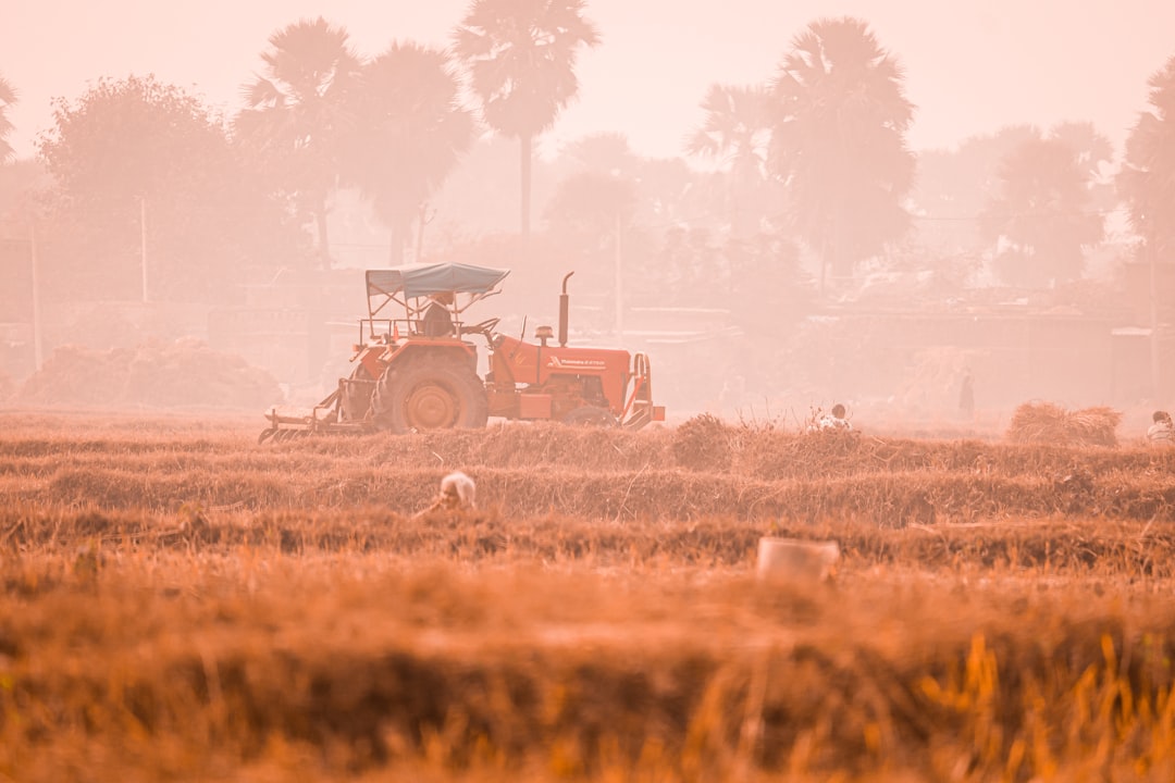 Влияние закиси азота на экологию: причины и последствия