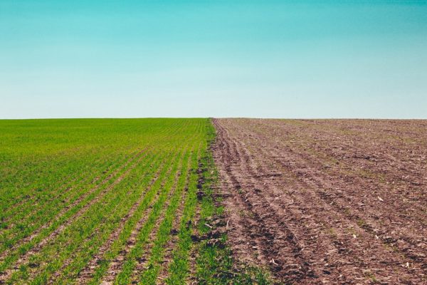 Углекислый газ и его влияние на экологию: взгляд на закись азота (N2O)